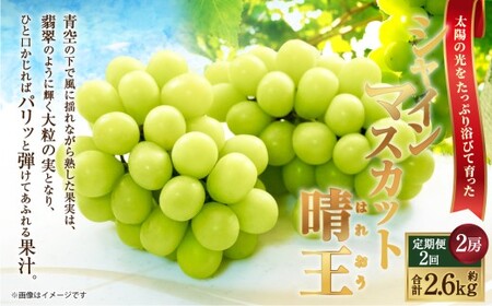 [HS]【定期便 全2回】ぶどう シャイン マスカット 晴王 2房（合計約1.3kg）【2026年9月上旬～10月下旬発送】【ブドウ 葡萄  岡山県産 国産 フルーツ 果物 ギフト】