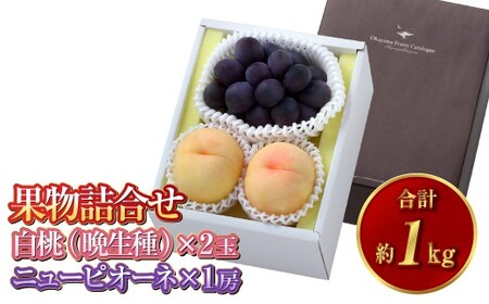 果物詰合せ 合計約1.0kg(白桃(晩生種) 2玉・ニュー ピオーネ 1房)岡山 特産 桃 ニューピオーネ 白桃 セット 詰め合わせ 贈り物 ギフト[2026年8月下旬〜9月下旬発送予定]