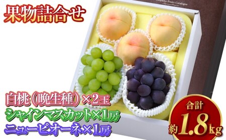 果物詰合せ 合計約1.8kg(白桃(晩生種)3玉・シャインマスカット 1房・ニュー ピオーネ 1房)岡山 フルーツ 白桃 シャインマスカット ニューピオーネ 詰め合わせ 果実[2026年8月下旬〜9月下旬発送予定]