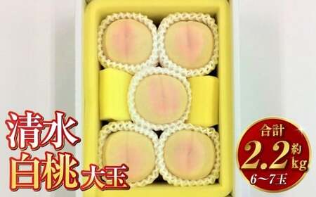 清水白桃(大玉)6〜7玉(約2.2kg)岡山 名産品 清水白桃 贈りもの 柔らかい[2026年7月下旬〜8月上旬迄順次発送予定]