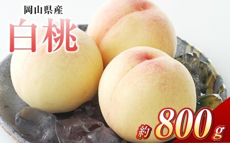 白桃 3玉(合計約800g)果物 デザート スイーツ フルーツ 果肉 美味しい 甘い 柔らかい 上品[2026年7月上旬〜7月下旬迄順次発送予定]