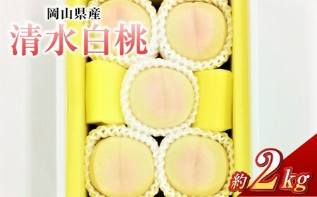 清水白桃 8玉（合計約2.0kg）果物 デザート スイーツ フルーツ 果肉 美味しい 甘い 柔らかい 上品 高級品種 贈り物 ギフト【2026年7月下旬～8月上旬迄順次発送予定】