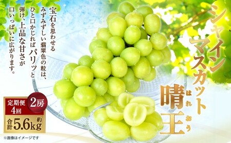 [HS]【4回定期便】温室・露地 シャインマスカット 晴王 2房（合計約1.4kg）【2026年7月上旬～10月下旬発送予定】マスカット 葡萄 ぶどう ブドウ フルーツ 果物 くだもの デザート 冷蔵 岡山県 倉敷市