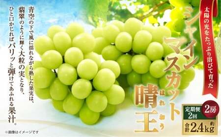 [HS]【2回定期便】シャインマスカット 晴王 2房 約1.2kg【2026年9月上旬～10月下旬発送予定】マスカット 葡萄 ぶどう ブドウ フルーツ 果物 くだもの デザート 冷蔵 岡山県 倉敷市