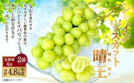 [HS]【4回定期便】温室・露地 シャインマスカット 晴王 2房（合計約1.2kg）【2026年7月上旬～10月下旬発送予定】マスカット 葡萄 ぶどう ブドウ フルーツ 果物 くだもの デザート 冷蔵 岡山県 倉敷市