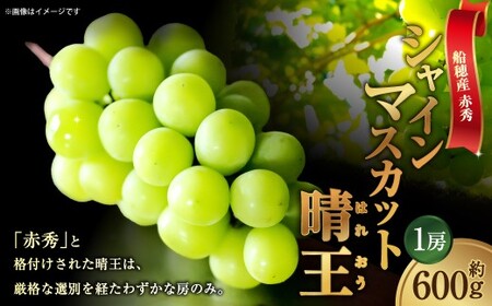 [HS]ぶどう 最高級品シャイン マスカット 晴王 1房 約600g[2026年9月上旬〜10月下旬発送][ブドウ 葡萄 岡山県産 船穂産 フルーツ 果物 ギフト]