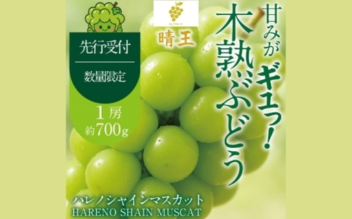木熟ぶどう ハレノシャイン シャインマスカット晴王 1房 約700g 果物 くだもの 果実 フルーツ 果汁 ぶどう 葡萄 ブドウ マスカット シャインマスカット 晴王 ブランド 皮ごと 国産 岡山県産 冷蔵 [ 2026年9月上旬〜10月下旬発送予定 ]