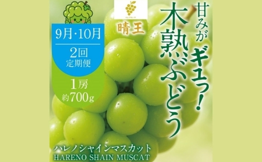 [ 2回定期便 ] 木熟ぶどう ハレノシャイン シャインマスカット晴王 1房 約700g 果物 くだもの 果実 フルーツ 果汁 ぶどう 葡萄 ブドウ マスカット シャインマスカット 晴王 ブランド 皮ごと 国産 岡山県産 冷蔵 [ 2026年9月上旬発送開始予定 ]