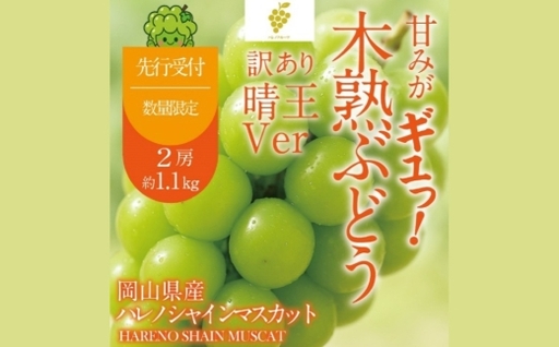 訳あり 木熟ぶどう ハレノシャイン シャインマスカット 晴王 2房 合計約1.1kg 果物 くだもの 果実 フルーツ 果汁 ぶどう 葡萄 ブドウ マスカット 皮ごと 国産 岡山県産 冷蔵 [ 2026年10月上旬〜11月上旬発送予定 ]