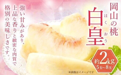 岡山の桃 白皇 5〜8玉 (約2kg) [2026年8月下旬〜9月下旬発送予定] 糖度 香り 果実 くだもの 果物 フルーツ もも 桃 モモ ピーチ 国産 岡山県産 ブランド 甘み 肉質 新品種
