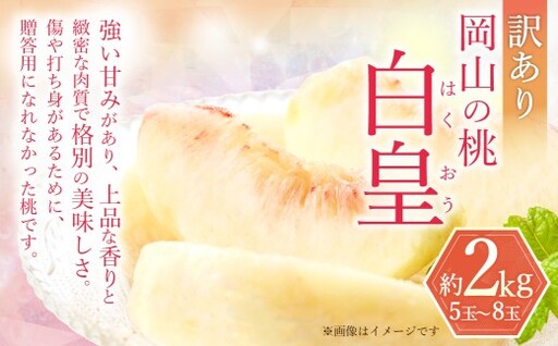 訳あり 白皇 5〜8玉 (約2kg) [2026年8月下旬〜9月下旬発送予定] 家庭用 糖度 香り 果実 くだもの 果物 フルーツ もも 桃 モモ ピーチ 国産 岡山県産 ブランド 甘み 肉質 新品種
