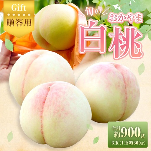 [ 贈答用 ] 旬のおかやま白桃 3玉 ( 約900g ) 桃 もも モモ 白桃 ピーチ フルーツ 果物 くだもの 果実 おやつ デザート スイーツ 岡山県産 国産 [ 2026年7月上旬〜8月下旬迄発送予定 ]