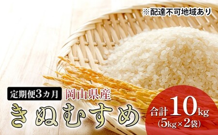 米 定期便 3ヶ月きぬむすめ 10kg(5kg×2袋) 令和6年産 岡山県産 米 お米 白米