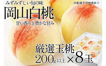 桃 2025年 先行予約 岡山の白桃 200g以上×8玉 白桃 旬 みずみずしい 晴れの国 おかやま 岡山県産 フルーツ王国 果物王国