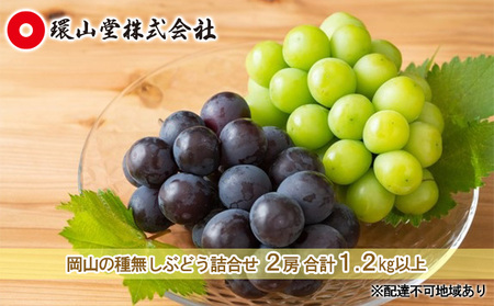 ぶどう 2025年 先行予約 種無し ぶどう 詰合せ 2房 合計1.2kg以上 マスカット ブドウ 葡萄 岡山県産 国産 フルーツ 果物 ギフト 環山堂