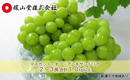 ぶどう2025年 先行予約 マスカット・オブ・アレキサンドリア 2〜3房 合計1.0kg以上 環山堂 岡山県 葡萄 ぶどう 果物 フルーツ