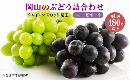 ぶどう 2024年 先行予約 果物 詰合せ ニュー ピオーネ 1房480g以上 シャイン マスカット 晴王 1房 480g以上 化粧箱入り 岡山県産 フルーツ 果物 ギフト