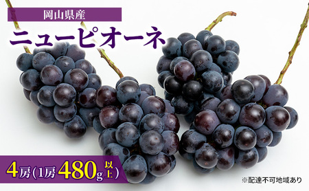 ぶどう 2025年 先行予約 ニュー ピオーネ 4房(1房480g以上)約2kg ブドウ 葡萄 岡山県産 国産 フルーツ 果物 ギフト