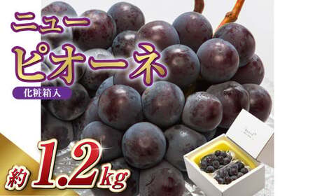 [先行予約]岡山県産 ニューピオーネ 2房(1房600g以上)化粧箱入り[2025年8月下旬-10月上旬 発送予定][ニューピオーネ ぶどう 果物 フルーツ 国産 人気 おすすめ 岡山県 倉敷市]