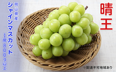 シャインマスカット 晴王 1房 800g以上 岡山県産 葡萄 ぶどう 果物