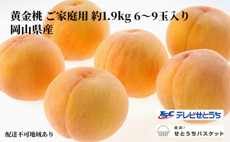 桃 2025年 先行予約 岡山 黄金桃 ご家庭用 約1.9kg 6〜9玉入り もも モモ 岡山県産 国産 フルーツ 果物 直送!せとうちバスケット