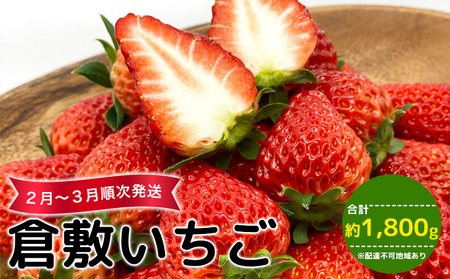 [早期受付]倉敷 いちご 数量限定 紅ほっぺ かおり野 おまかせ 詰め合わせ 合計約1800g 岡山県産