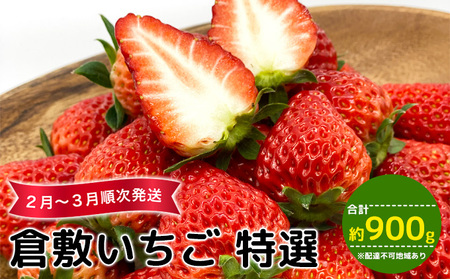 [早期受付]倉敷 特選いちご 数量限定 紅ほっぺ かおり野 おまかせ 詰め合わせ 合計約900g 岡山県産