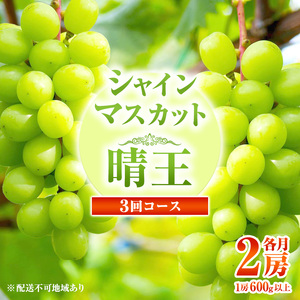 ぶどう 定期便 2024年 先行予約 シャイン マスカット 晴王 各月2房（1房600g以上） 3回コース 葡萄  岡山県産 フルーツ ギフト