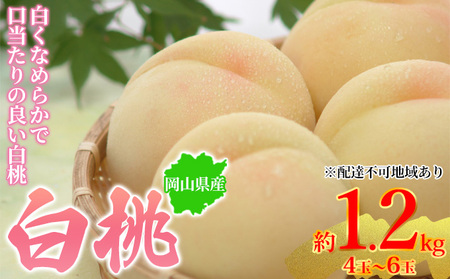 桃 2025年先行予約 岡山県産 白桃 約1.2kg 4〜6玉 お届け 7月上旬〜7月下旬