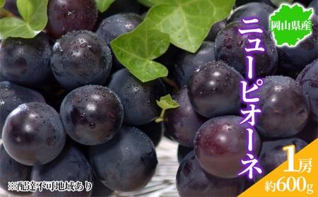 ぶどう 2025年先行予約 ニューピオーネ 1房 約600g 岡山県産 お届け 9月上旬〜10月中旬