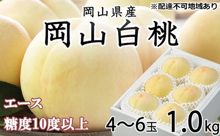 桃 2025年 先行予約 岡山 白桃 エース 4〜6玉 約1kg JA おかやま のもも(早生種・中生種) もも モモ 岡山県産 国産 フルーツ 果物 ギフト