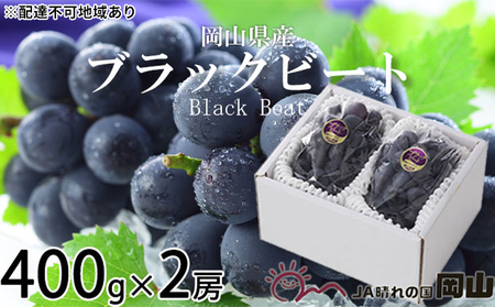 ぶどう 2025年 先行予約 ブラックビート 約400g×2房 ブドウ 葡萄 岡山県産 国産 フルーツ 果物 ギフト