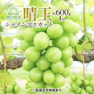 ぶどう 2024年 先行予約 シャイン マスカット 晴王 1房 約600g 大粒 種無し ブドウ 葡萄 岡山県産 国産 フルーツ 果物 ギフト 橋田商店