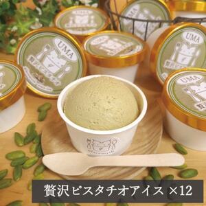 アイス職人の作るこだわりアイスクリーム12個セット　ピスタチオアイス　各90ml入り【配送不可地域：離島】【1148912】