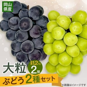 【2026年9月下旬発送】大粒ぶどう2種セット　シャインマスカットほか 2房 約1.2kg【1244629】