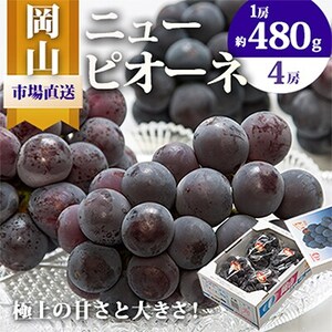 y2025NzRY@j[sI[l4[(1[480gȏEv2kg)yzsnFEkCEꌧzy1281357z