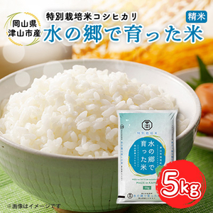 [岡山県津山市加茂町産]水の郷で育った米5kg(特別栽培米コシヒカリ)