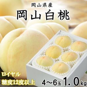 【先行受付】岡山白桃 ロイヤル 4～6玉 1kg 岡山県産【配送不可地域：離島・北海道・沖縄県】【1301630】