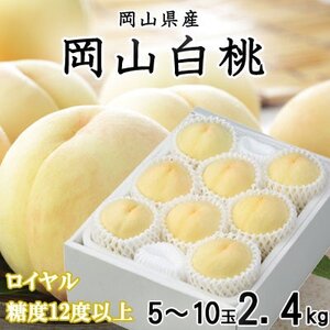 【先行受付】岡山白桃 ロイヤル 5～10玉 2.4kg 岡山県産【配送不可地域：離島・北海道・沖縄県】【1305712】