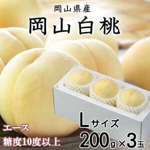 ystzR G[X 3×200g(LTCY )RYyzsnFEkCEꌧzy1305719z