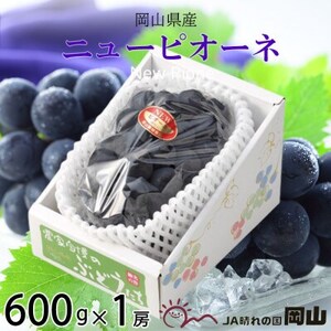 y2026N6{菇zRY j[sI[l 600g×1[yzsnFEkCEꌧzy1308138z
