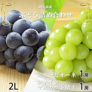 y2026N6{菇zRYVC}XJbg Ej[sI[l2LTCYlyzsnFEkCEꌧzy1308718z
