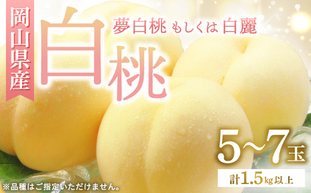 ◆先行受付◆　岡山県産　岡山白桃5～7玉(2)　2026年発送【配送不可地域：離島・北海道・沖縄県】【1349775】