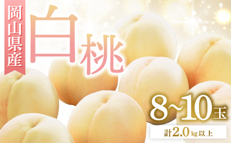 st@RY@R8`10ʁ@2026NyzsnFEkCEꌧzy1349776z