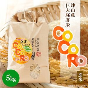 [突鉱土育ち]巨大胚芽米CoCoRo 5kg