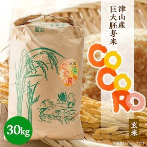 yˍzy炿zCoCoRo 30kgy1361995z
