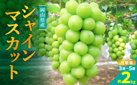 糖度!シャインマスカット!約2kg【2026年8月中旬より順次発送】ギフトにも岡山県産ぶどう!【配送不可地域：離島】【1365245】
