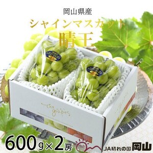 y2025N8蔭zRY@VC}XJbg@@600g×2[yzsnFEkCEꌧzy1366036z