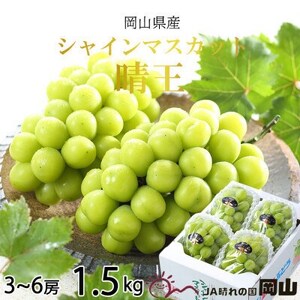 [2025年8月発送]岡山県産 シャインマスカット 晴王 1.5kg(3房〜6房)[配送不可地域:離島・北海道・沖縄県]