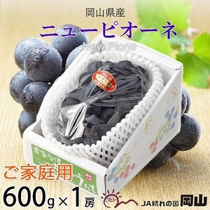[2025年8月発送]ご家庭用 岡山県産 ピオーネ 600g×1房[配送不可地域:離島]